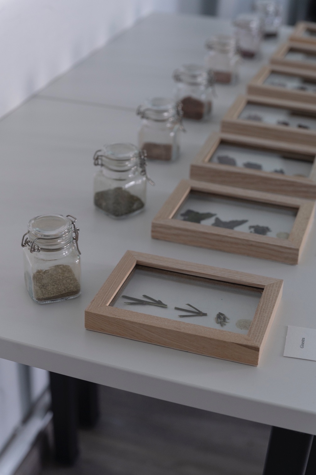 Pigmenti - Quadretti